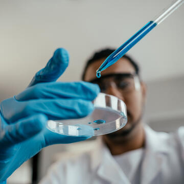 Male scientist working in lab