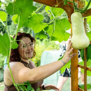 Female student picking vegetables from garden