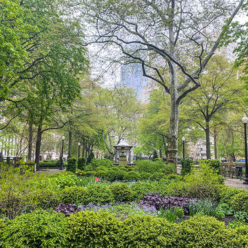 Lush green trees and ground shrubs in Rittenhouse Park