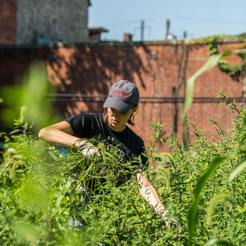 student working in a garden