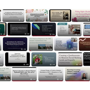 Thumbnail images of summer scholar videos.