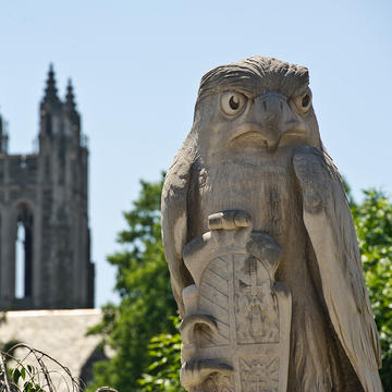 Hawk statue in front of Barbelin on Saint Joseph's University campus