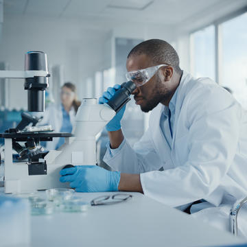 Student looking into a microscope for the Pharmacology and Toxicology major at Saint Joseph's University