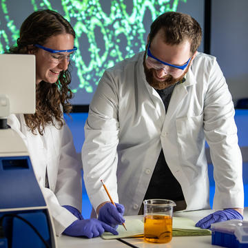 Students in a lab environment at Saint Joseph's University.