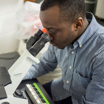 male saint joseph's university student looking through a microscope