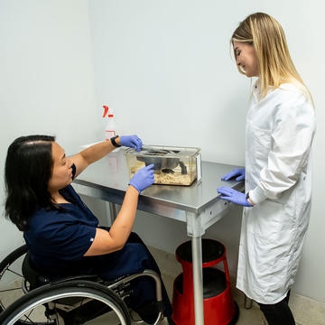 professor in wheelchair doing lab work with a student in a lab coat
