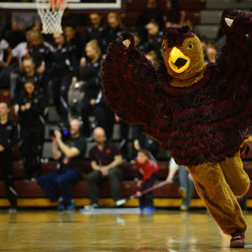 The hawk mascot flaps its wings 