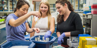 students and professor in the lab at saint joseph's university
