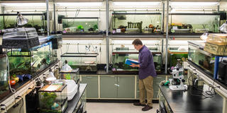 biodiversity lab, a room full of tanks