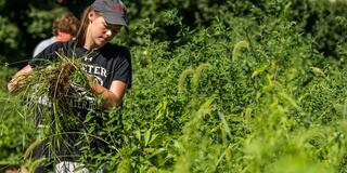 A student works in a field during a service immersion program.