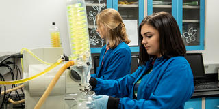McNulty Scholar in chemistry lab
