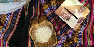 Table set with a bowl of rice and a globe of the earth