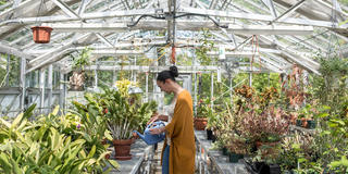 Barnes Arboretum green house with woman watering plants at Saint Joseph's University