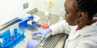 Pharmacy student in lab at Saint Joseph's University