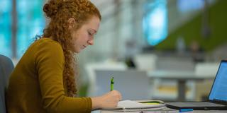 Student working on a laptop