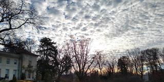 View of great lawn and fall sky at Barnes Arboretum at SJU