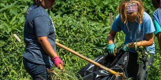 Students working in Saint Joseph's community garden