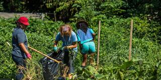 Saint Joseph's University Students wokring on the community garden