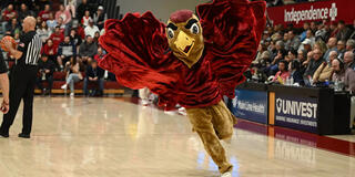 The hawk mascot flapping its wings on a basketball court