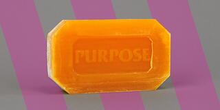 Purpose Soap