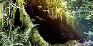 Julianna Foster Photo