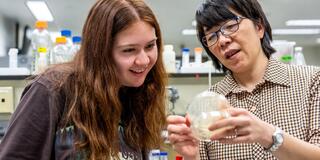 McNulty Fellow_Farrah Ponnwitz_McNulty Mentor_Julia Lee-Soety_examining a Petri dish