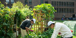 students at Community Garden