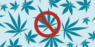 Graphic of cannabis with an "x" symbol