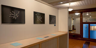 Photo of Allison Shyer's work in the back section of museum. 