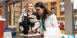 SJU-magazineSTC-20_2-research-2022-3200x1600.jpg