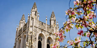 barbelin-tower-spring-3200x1600.jpg