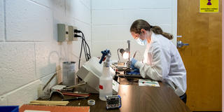 student doing research in a lab