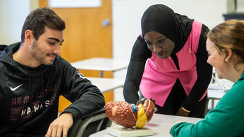 A professor and two students looking at a model of a stomach