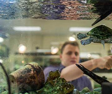 Biology student at Saint Joseph's University in front of turtle tank.