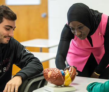 A professor and two students looking at a model of a stomach