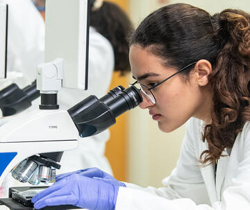 Saint Joseph's PCP student looking into microscope in lab