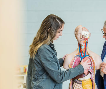 dr. sally kuykendall and a female saint joseph's university student looks at a human torso model