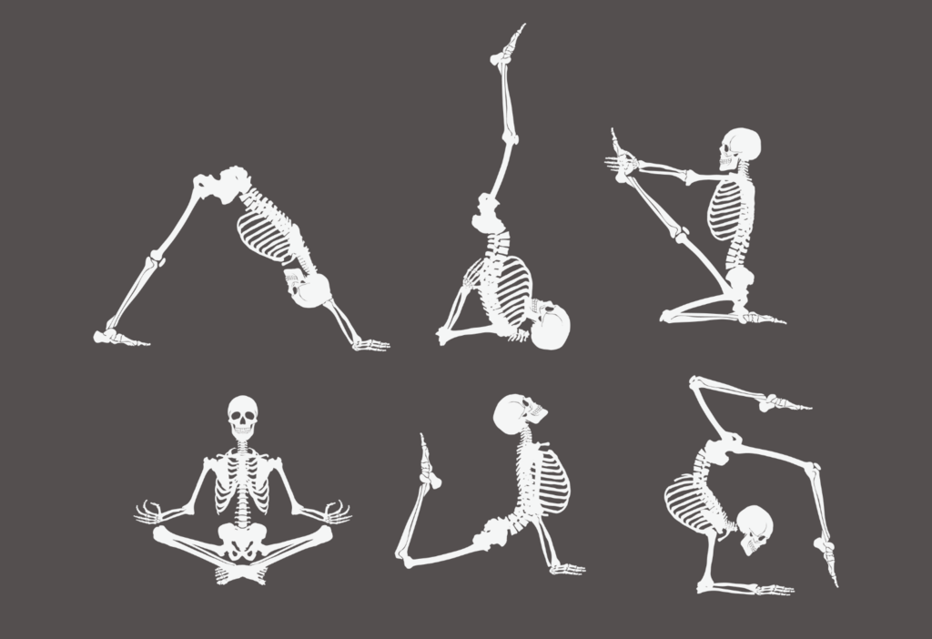 yoga bones