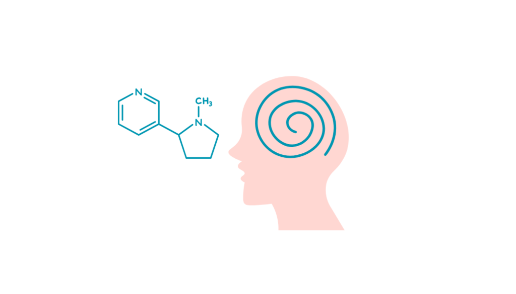 brain