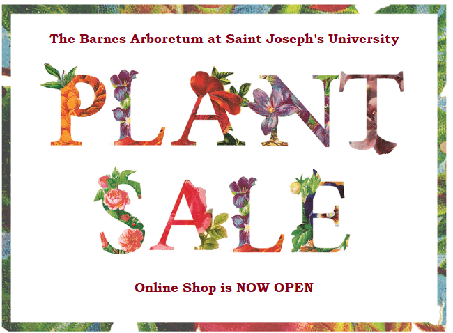 Annual Plant Sale Banner