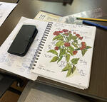 field notes