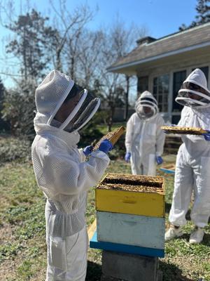 Three students in white beekeeper suits inspecting frames of honeycomb