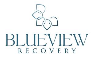 blueview logo