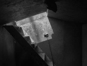 steps leading into storm shelter