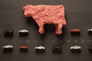 ground beef in the shape of a cow interrupting pattern of matchbox cars