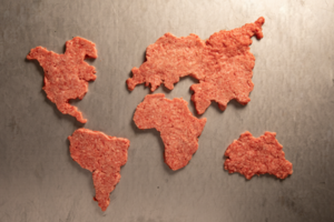 map of the world made of ground beef