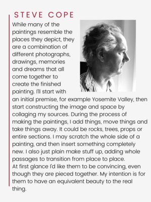 Steve Cope biography sheet