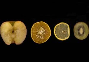 photograph of fruit halves