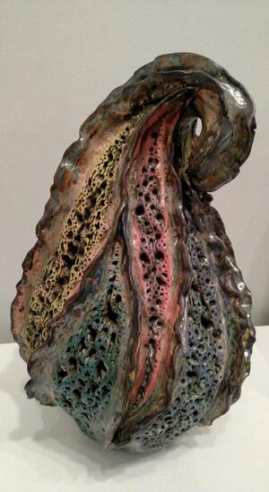 photograph of decaying seed pod