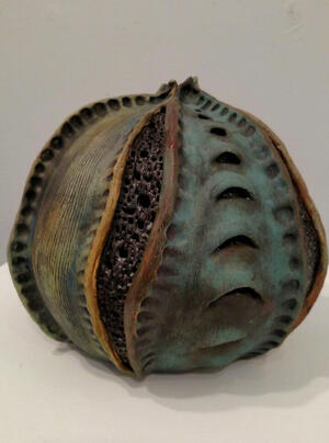 photograph of decaying seed pod